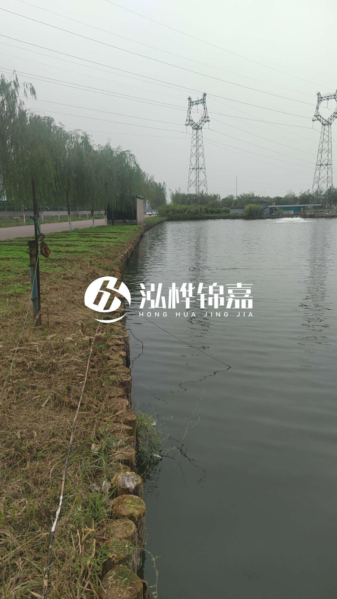 大同河道打松木樁施工-護(hù)坡木樁新的好還是舊的？