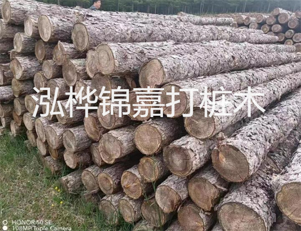 高效修補，保駕護航！水泥路面高強度修補料為您解決煩惱！