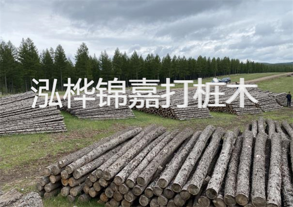 鋼結構施工方案大全免費提供，助力工程建設
