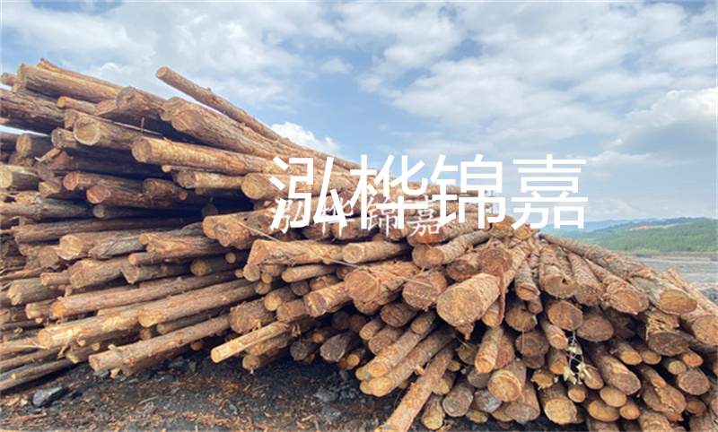 濮陽松木樁，卓越品質，安全可靠